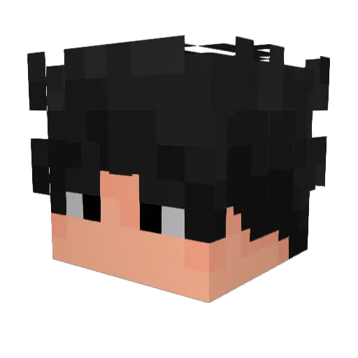 Stoo_pit Minecraft avatar head, 3D render