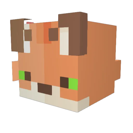 Stookei Minecraft avatar head, 3D render