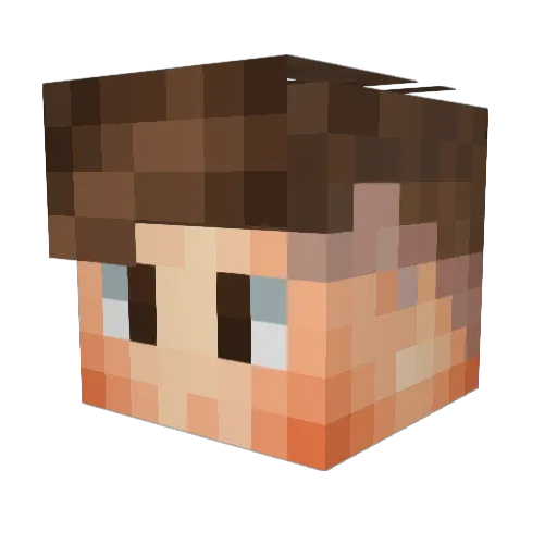 Stop21 Minecraft avatar head, 3D render