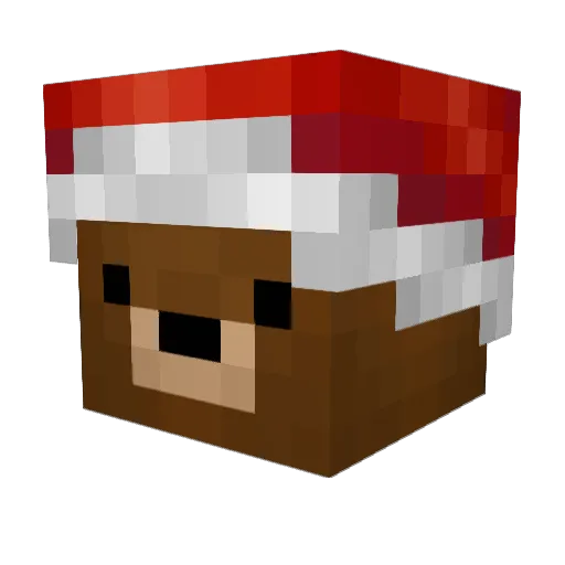Minecraft-Avatar von Stop: Kopf als 3D-Render
