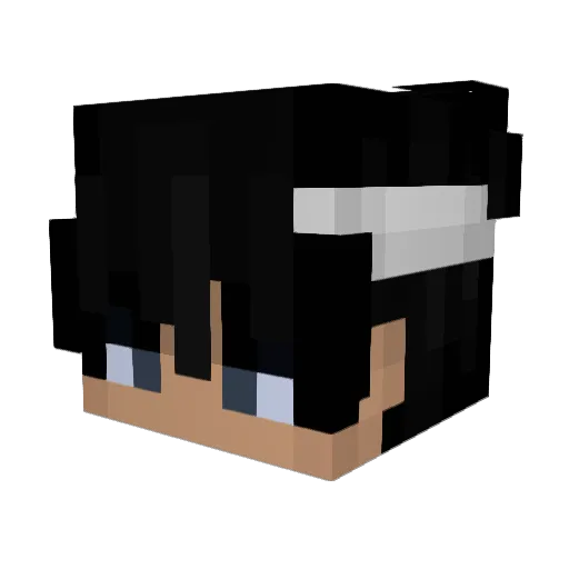 StopDavidPhobia Minecraft avatar head, 3D render