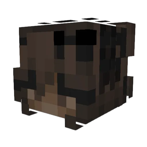 StopDolphin Minecraft avatar head, 3D render