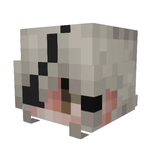 StopTheMusic Minecraft avatar head, 3D render