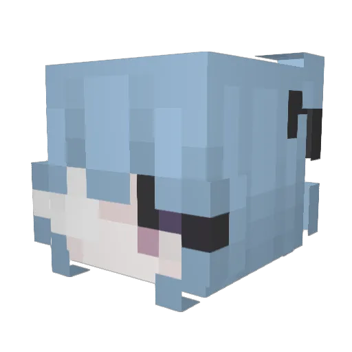 StopTouchingMe69 Minecraft avatar head, 3D render