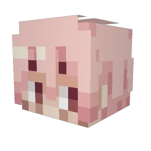 Stopitronny Minecraft avatar head, 3D render