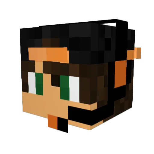 Stoppa_BR Minecraft avatar head, 3D render