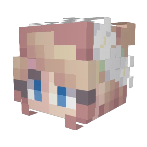 StorMin2 Minecraft avatar head, 3D render