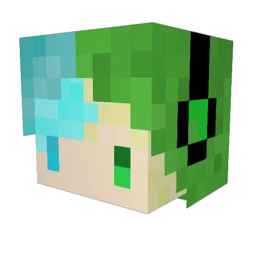 Stora1529 Minecraft avatar head, 3D render