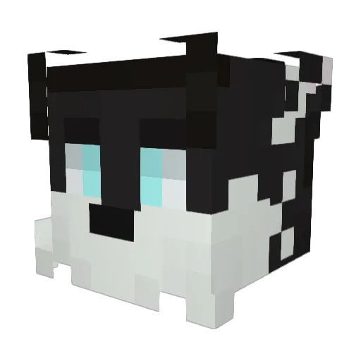 Storcaa Minecraft avatar head, 3D render