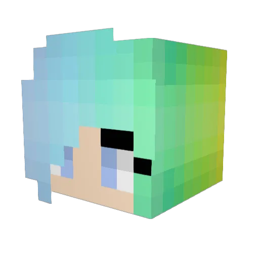 StoreNallen Minecraft avatar head, 3D render