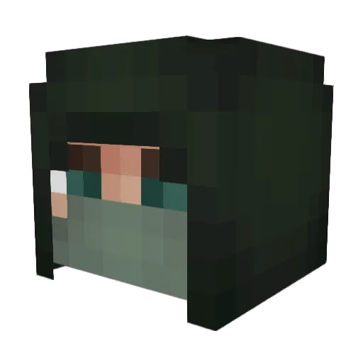 StoreSondre1999 Minecraft avatar head, 3D render