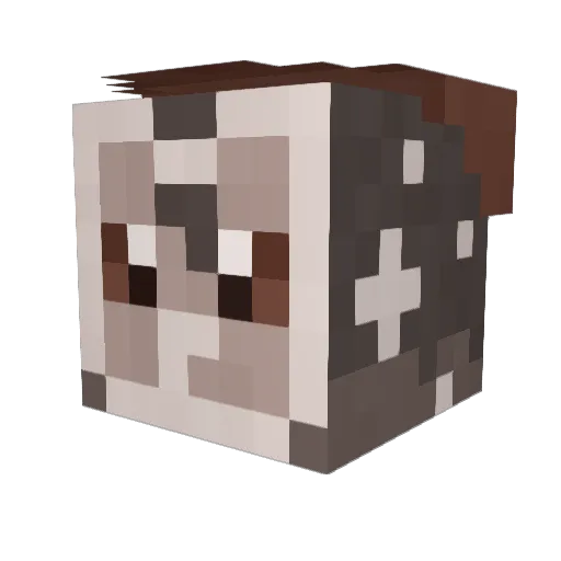 Storiza Minecraft avatar head, 3D render