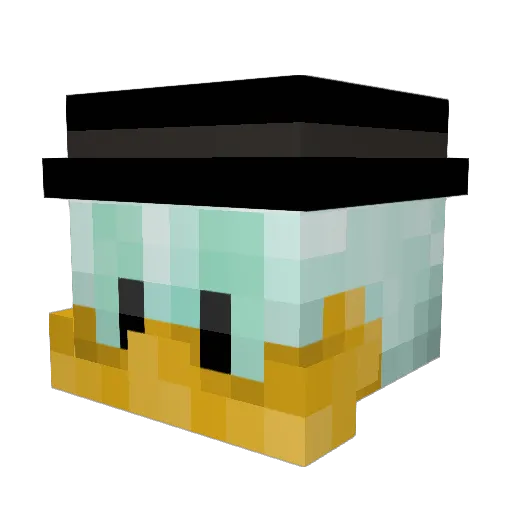 Storkuknn Minecraft avatar head, 3D render