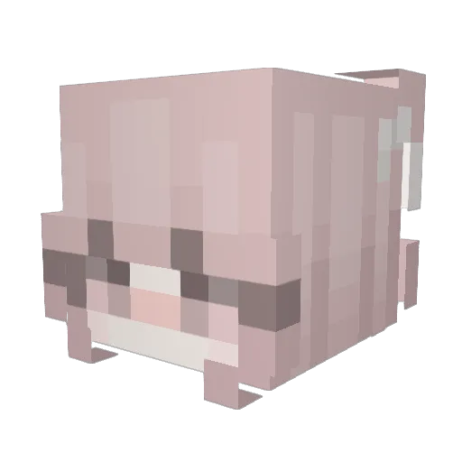 Storm13666 Minecraft avatar head, 3D render