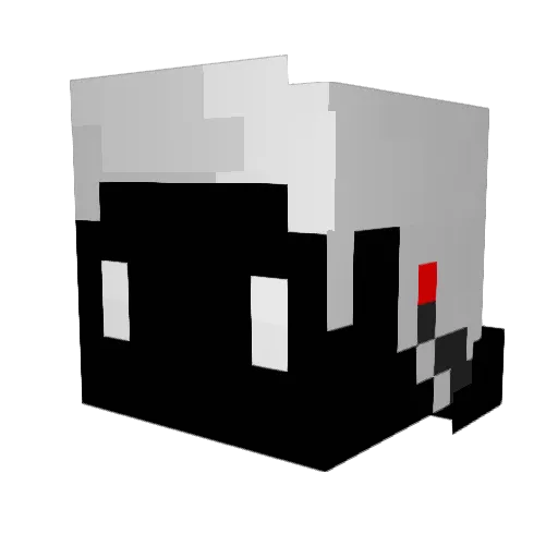 Storm264 Minecraft avatar head, 3D render