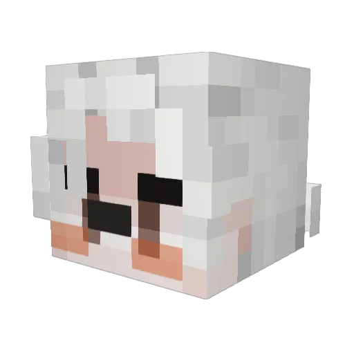 Storm3456 Minecraft avatar head, 3D render