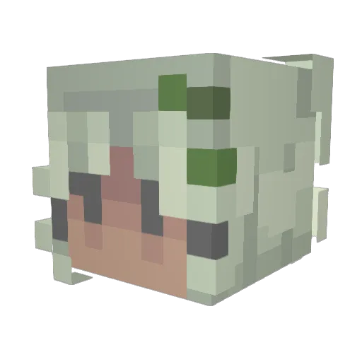 Storm4712 Minecraft avatar head, 3D render