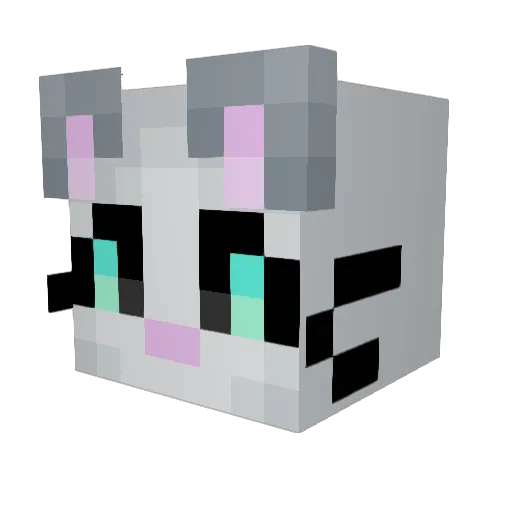 StormBird_ Minecraft avatar head, 3D render