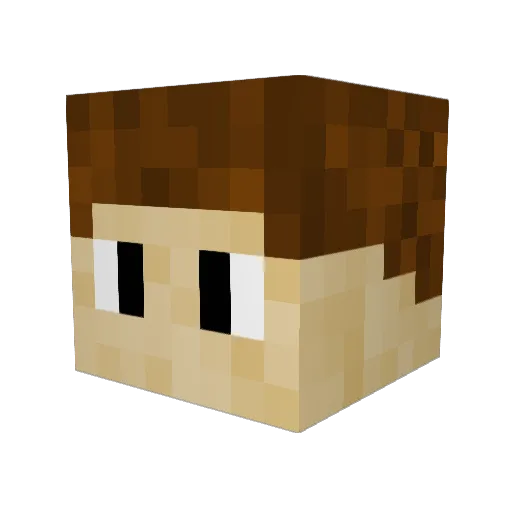 Minecraft-Avatar von StormCrafter_: Kopf als 3D-Render