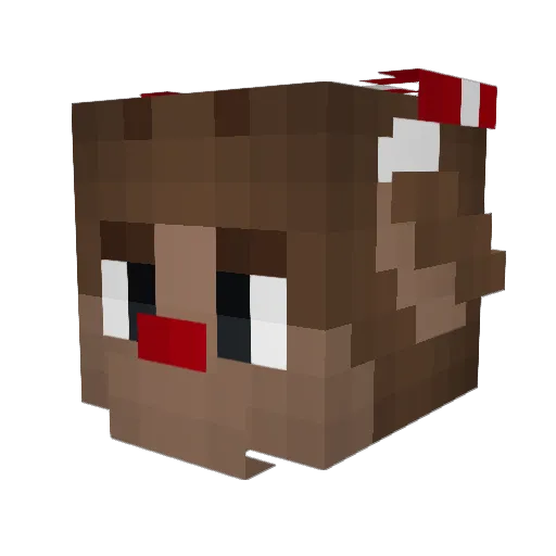 StormDasher Minecraft avatar head, 3D render