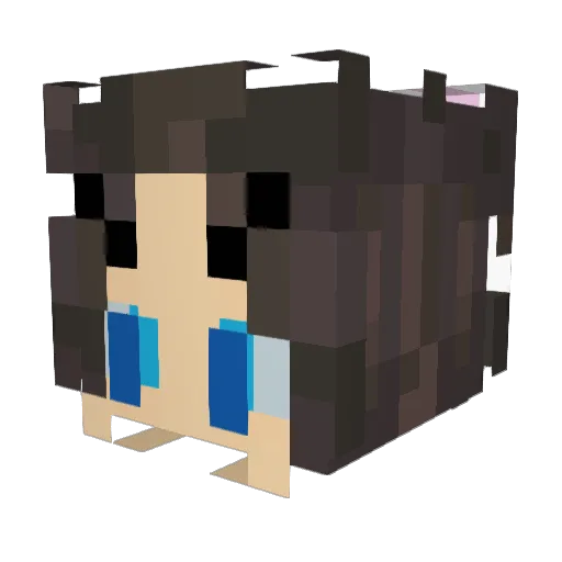StormShaun Minecraft avatar head, 3D render
