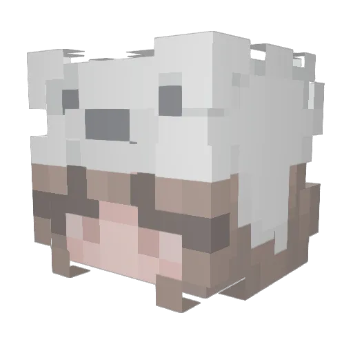 StormTheBuilder Minecraft avatar head, 3D render