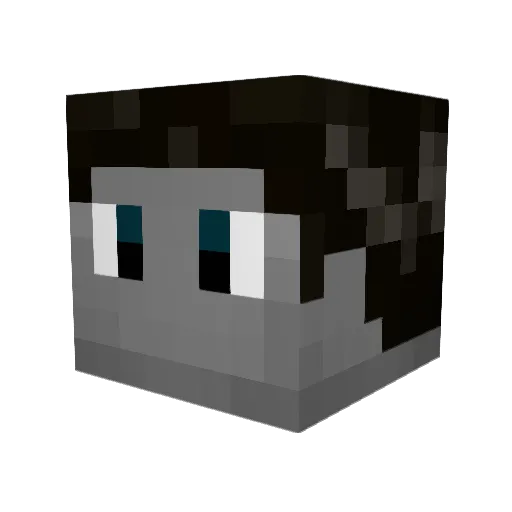 StormWalkerVI Minecraft avatar head, 3D render