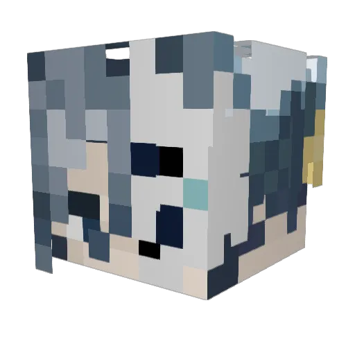 StormWarning_ Minecraft avatar head, 3D render