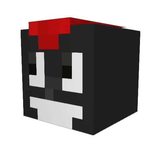 Storm_2204 Minecraft avatar head, 3D render