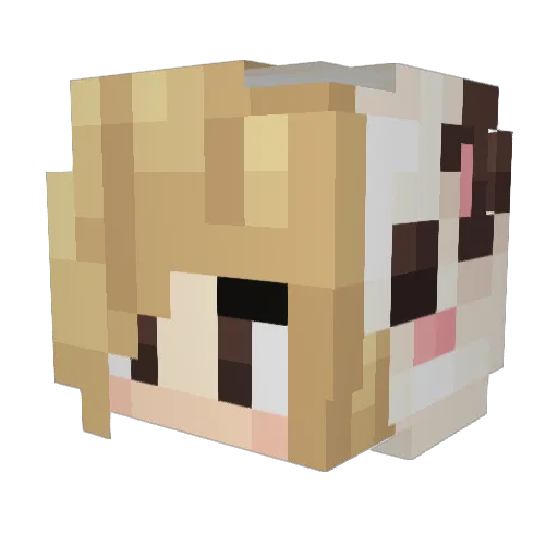 Stormagetdon Minecraft avatar head, 3D render