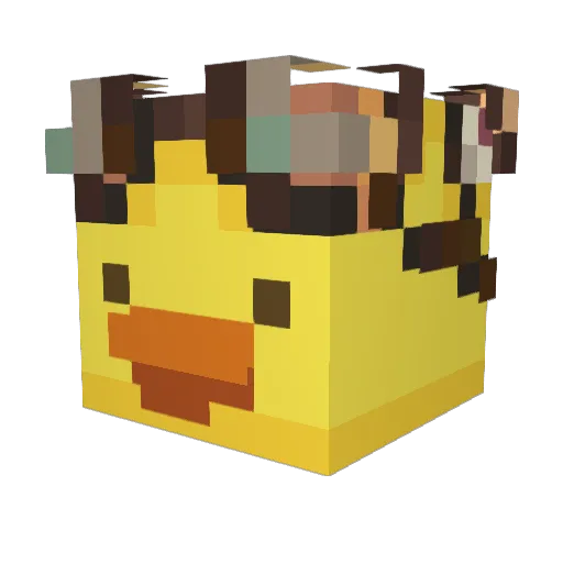 Stormandreas Minecraft avatar head, 3D render