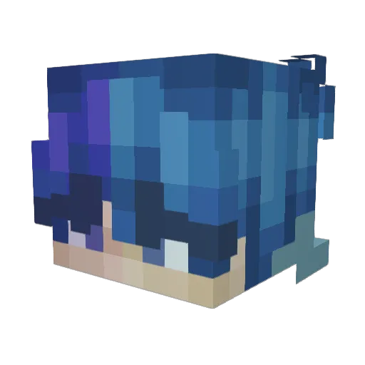 Stormcaster101 Minecraft avatar head, 3D render