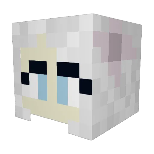 Stormer9372 Minecraft avatar head, 3D render