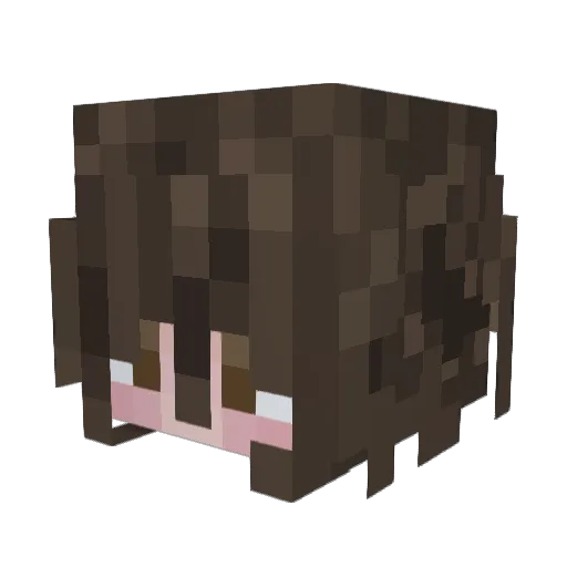 Stormfight1000 Minecraft avatar head, 3D render