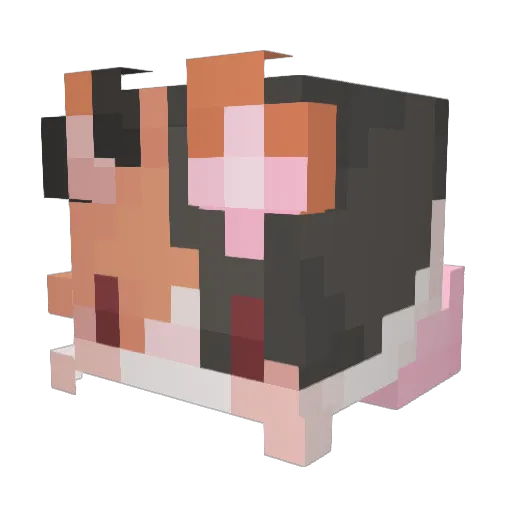 Stormhole16 Minecraft avatar head, 3D render