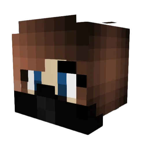 Stormi34748 Minecraft avatar head, 3D render