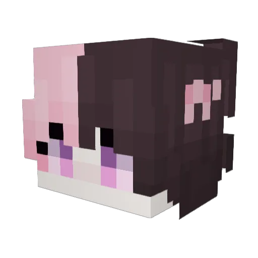StormiReaper Minecraft avatar head, 3D render