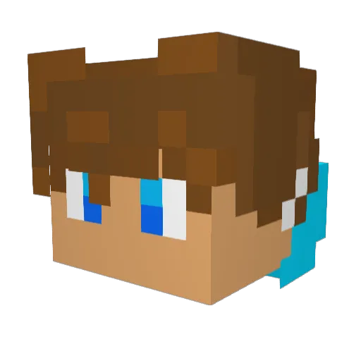 Stormie007 Minecraft avatar head, 3D render