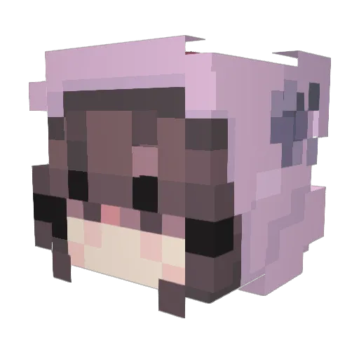 StormieSparrow Minecraft avatar head, 3D render