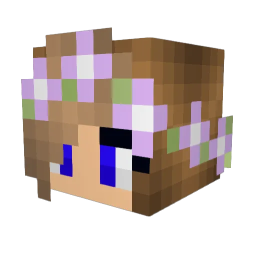 Stormpower08 Minecraft avatar head, 3D render