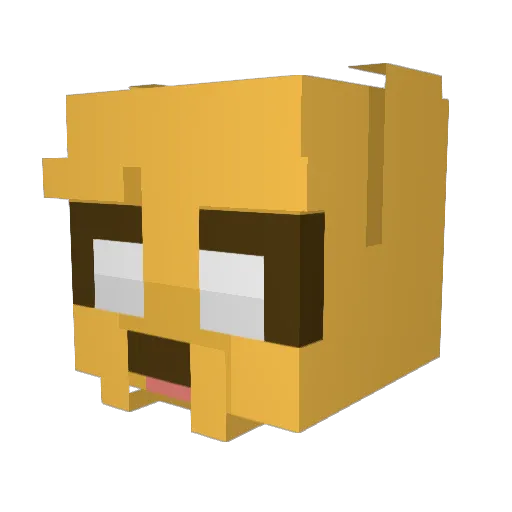 Stormray1 Minecraft avatar head, 3D render