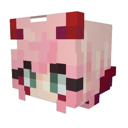 StormriserXD Minecraft avatar head, 3D render