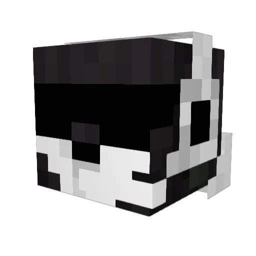 Stormstar23 Minecraft avatar head, 3D render
