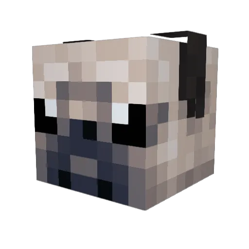 Stormtrooper179 Minecraft avatar head, 3D render