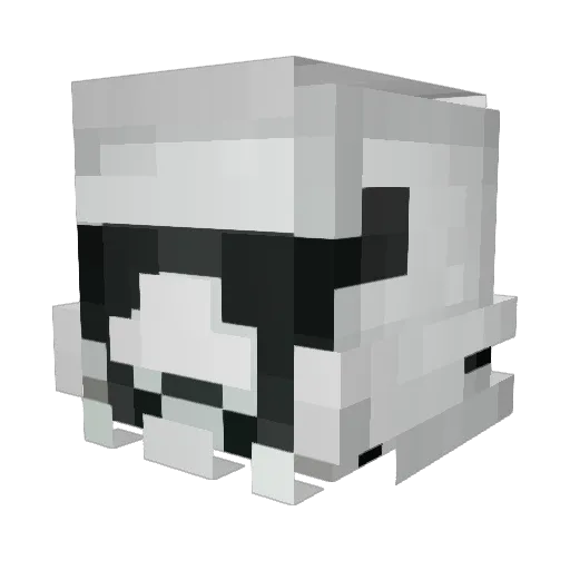 Stormtrooperx01 Minecraft avatar head, 3D render