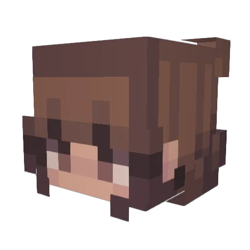 Stormvind4000 Minecraft avatar head, 3D render