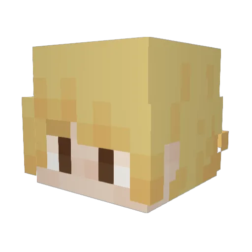 Stormwarper Minecraft avatar head, 3D render