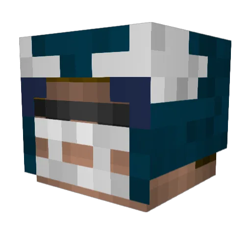 Stormy1331 Minecraft avatar head, 3D render