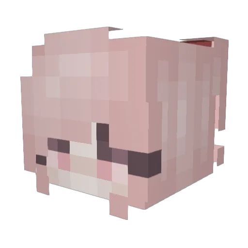Stormy2334 Minecraft avatar head, 3D render