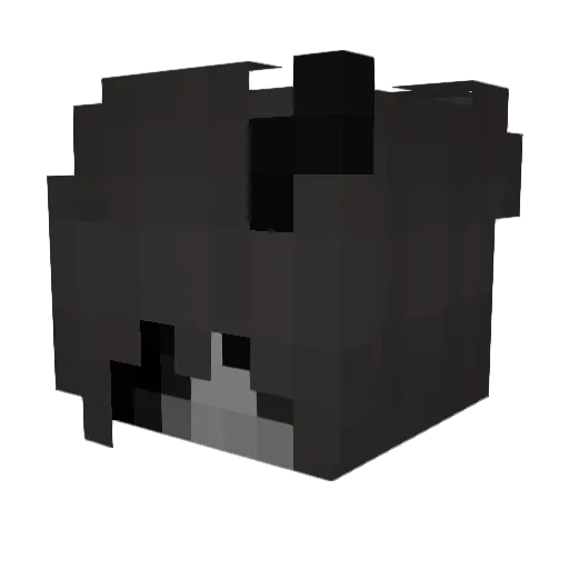 StormyPara Minecraft avatar head, 3D render